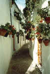 Priego