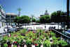 Carmona Plaza de San Fernando.jpg (41546 bytes)
