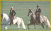 Jerez y el Caballo